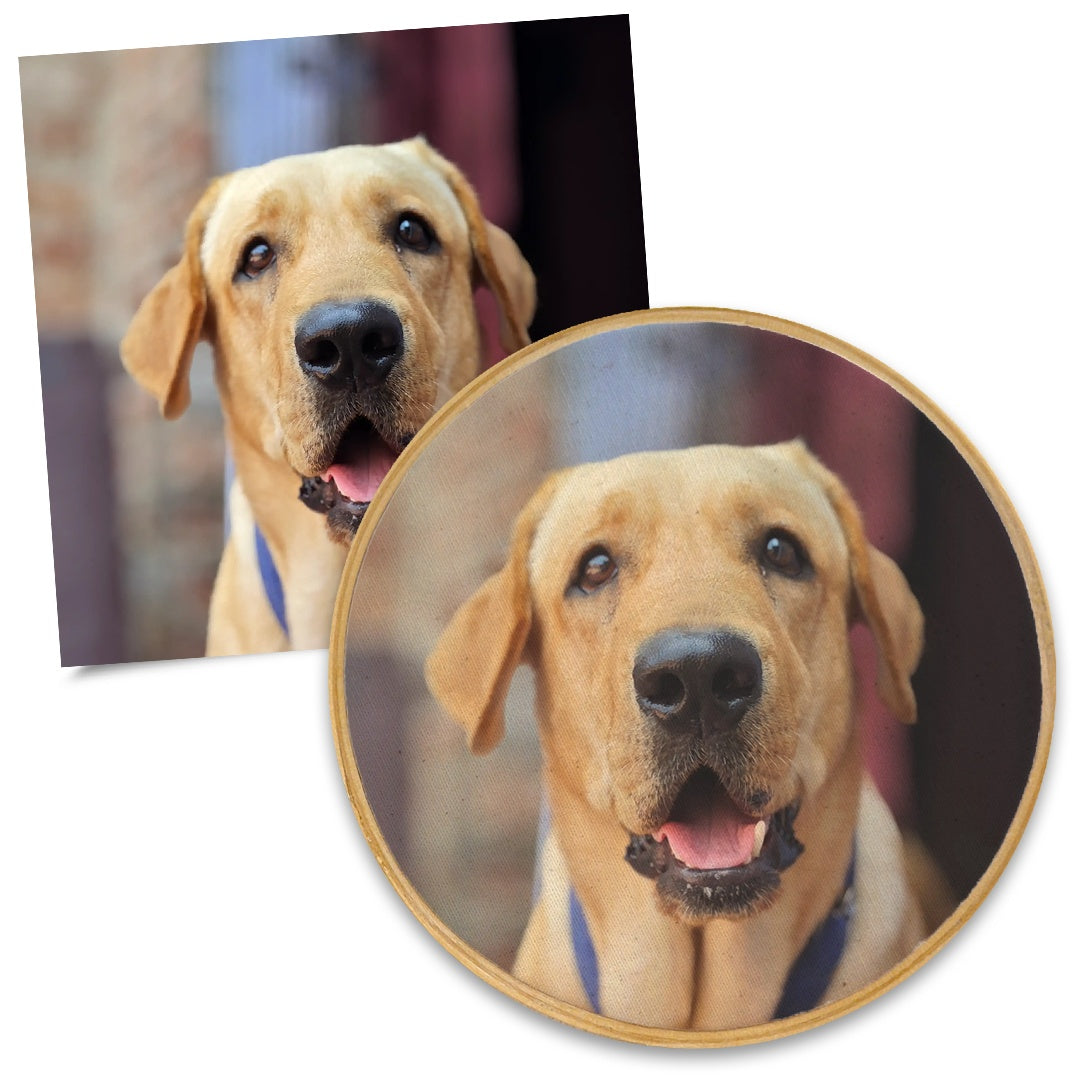 Quadro Pet 20 cm