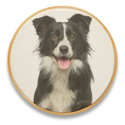Quadro Decorativo Cachorro CAC0013