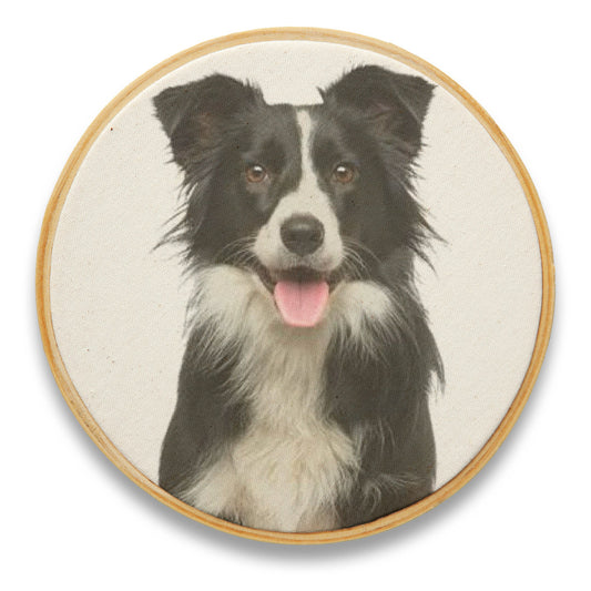 Quadro Decorativo Cachorro CAC0013