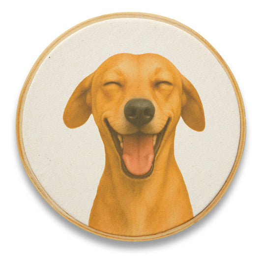 Quadro Decorativo Cachorro CAC0016