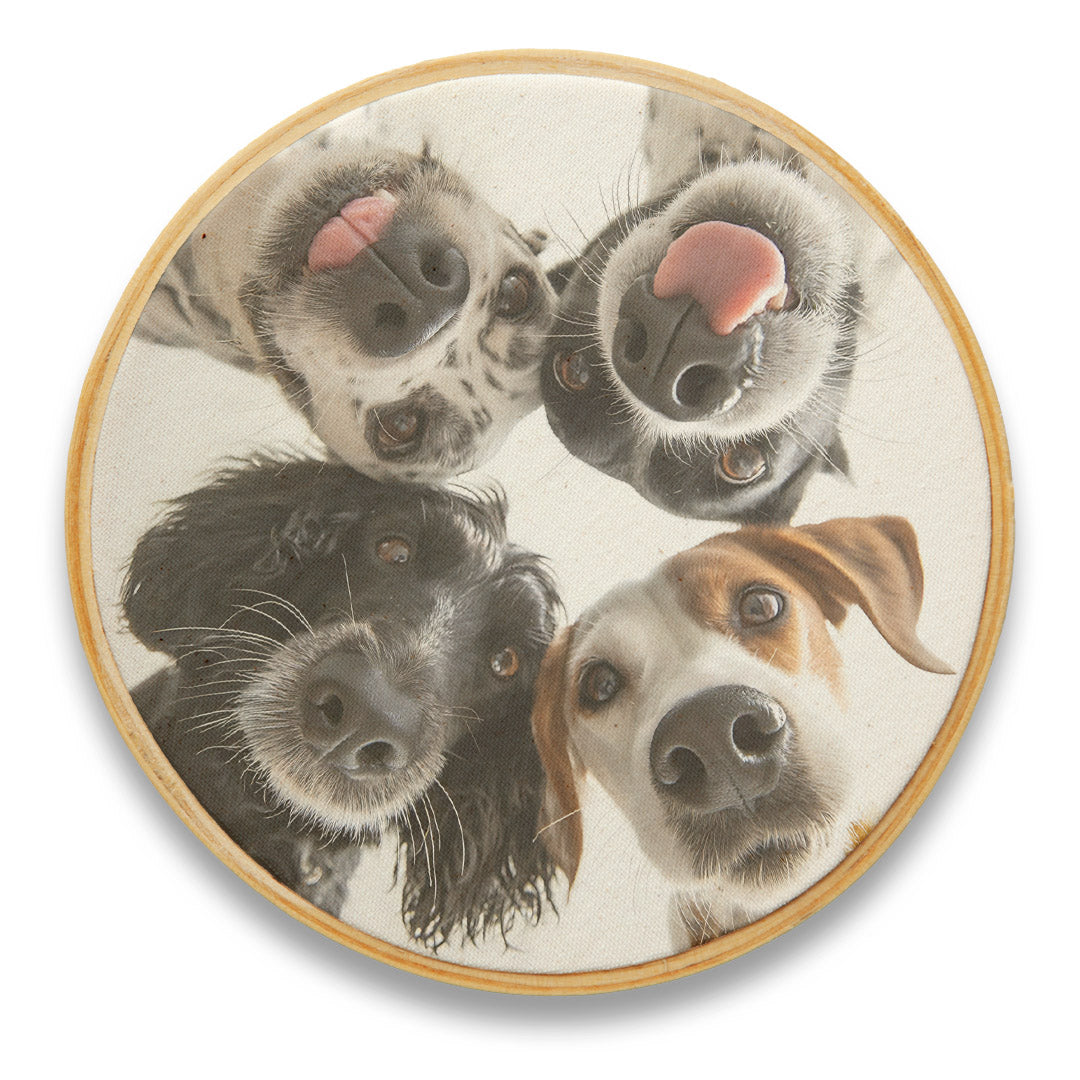 Quadro Decorativo Cachorro CAC0253