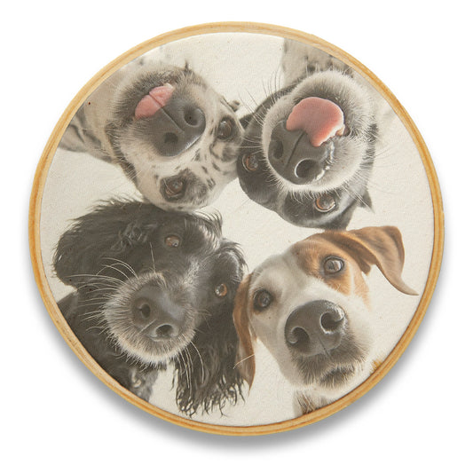Quadro Decorativo Cachorro CAC0253