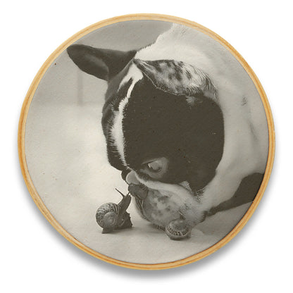 Quadro Decorativo Cachorro CAC0254