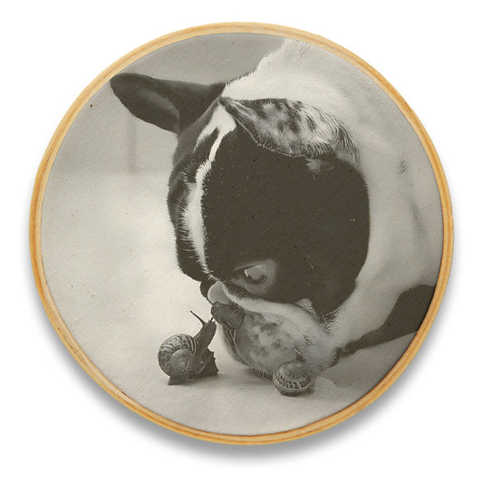 Quadro Decorativo Cachorro CAC0254
