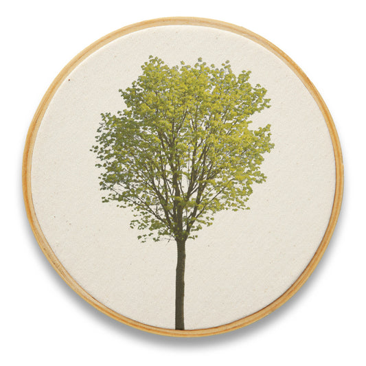 Quadro Decorativo Floral FLO0093