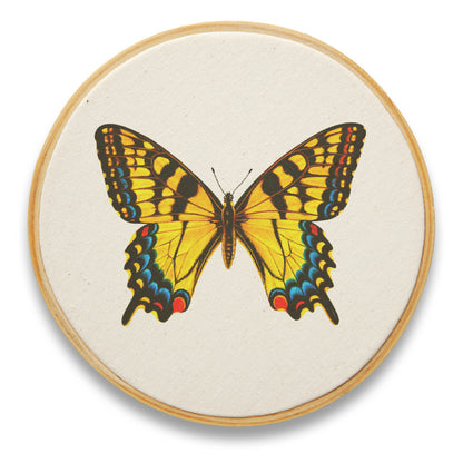 Quadro Decorativo Inseto INS0015