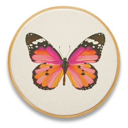 Quadro Decorativo Inseto INS0017