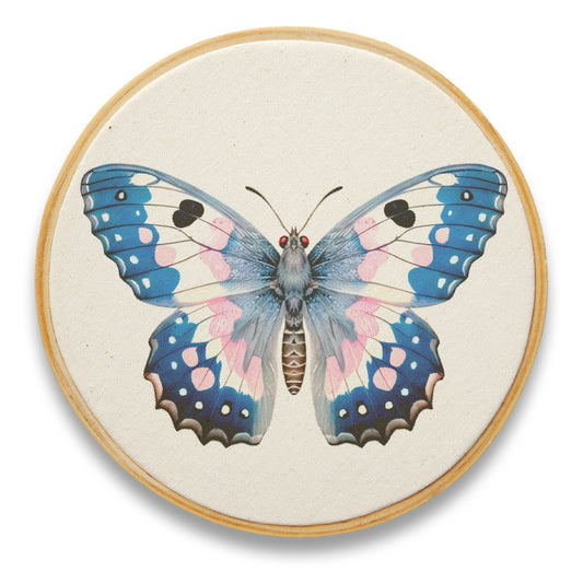 Quadro Decorativo Inseto INS0034