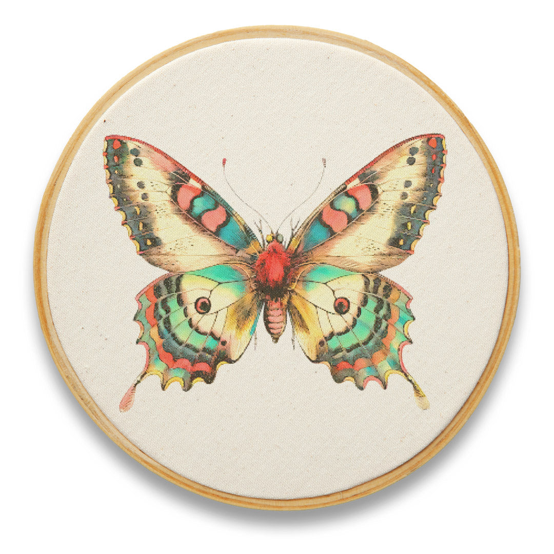 Quadro Decorativo Inseto INS0049