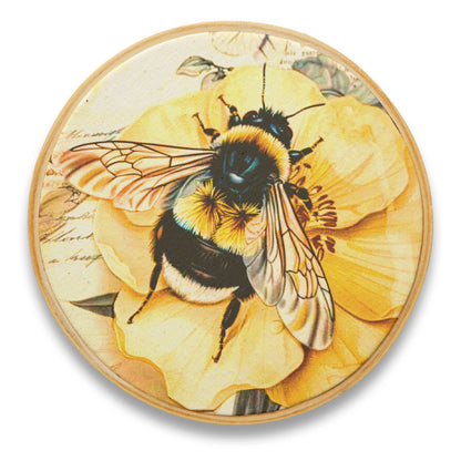 Quadro Decorativo Inseto INS0050
