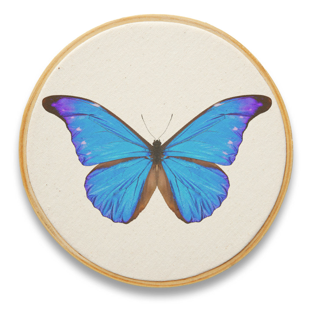 Quadro Decorativo Inseto INS0058