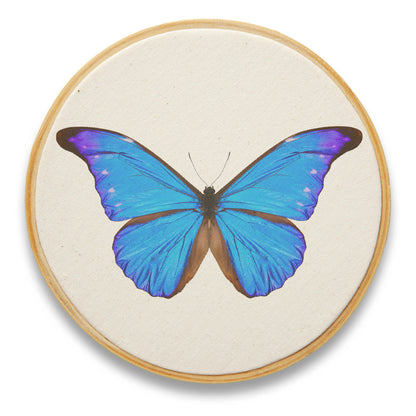Quadro Decorativo Inseto INS0058