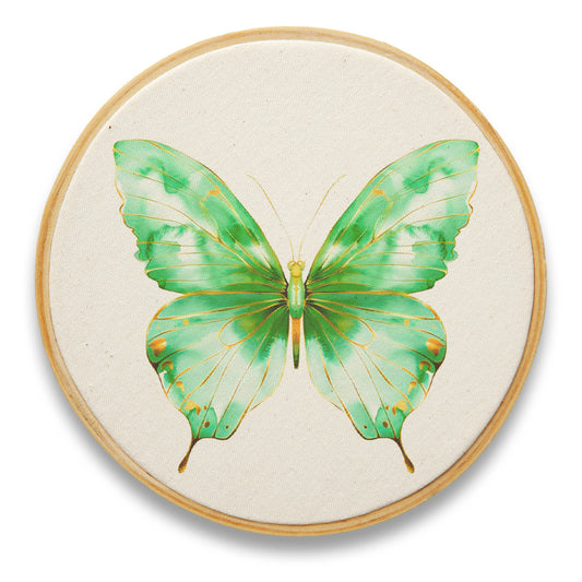 Quadro Decorativo Inseto INS0072