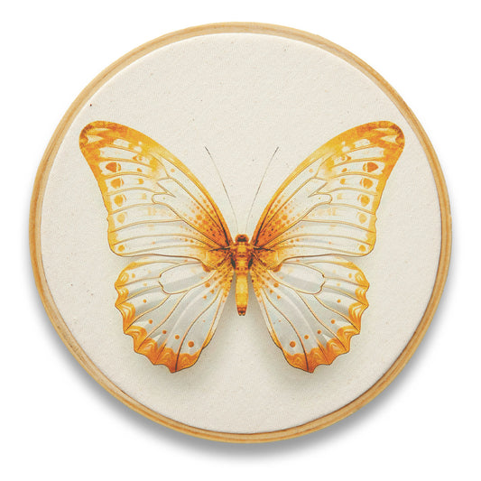 Quadro Decorativo Inseto INS0079