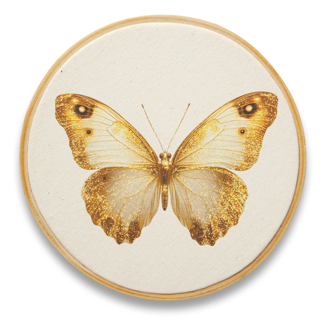 Quadro Decorativo Inseto INS0080