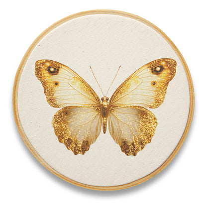 Quadro Decorativo Inseto INS0080