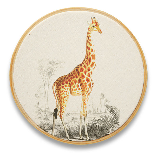 Quadro Decorativo Mamífero MAM0181
