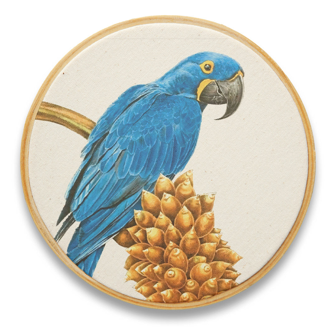 Quadro Decorativo Pássaro PAS0138