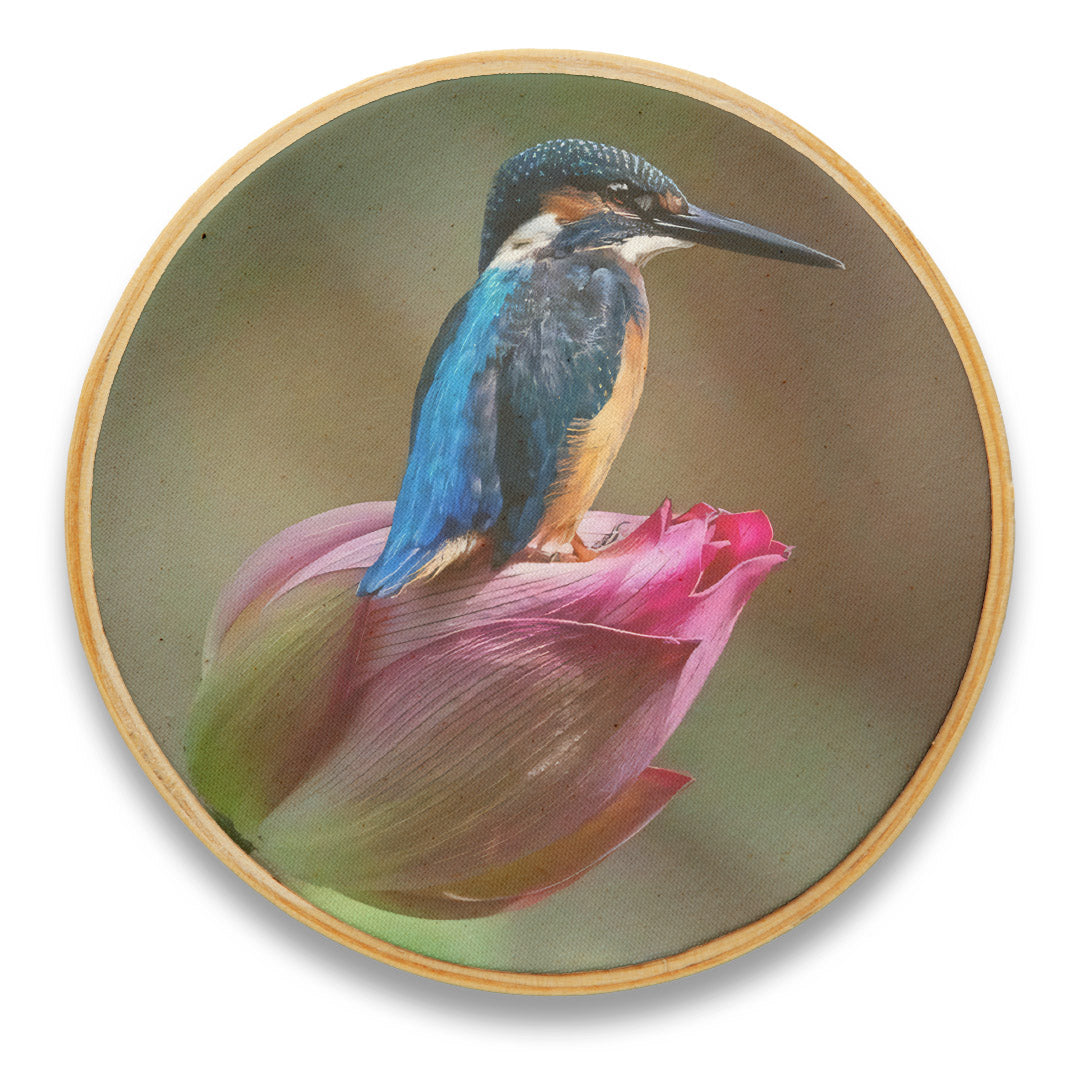 Quadro Decorativo Pássaro PAS0305