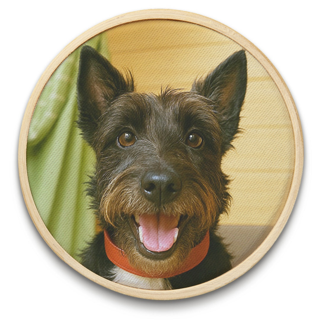 Quadro Pet 8 cm