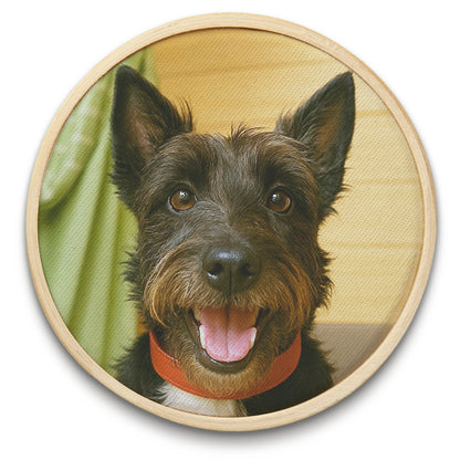 Quadro Pet 8 cm
