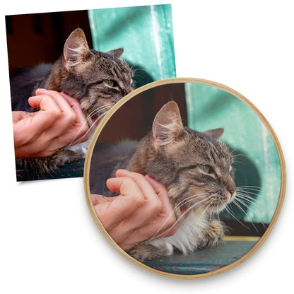 Quadro Pet 12 cm