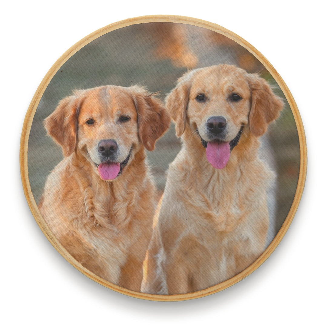 Quadro Pet 12 cm
