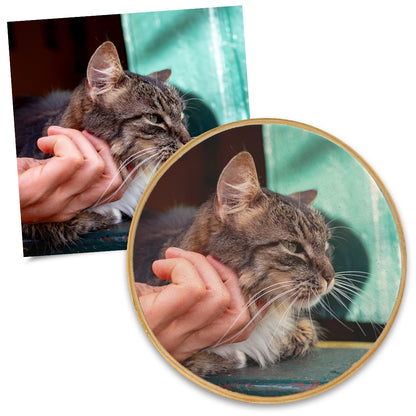 Quadro Pet 20 cm