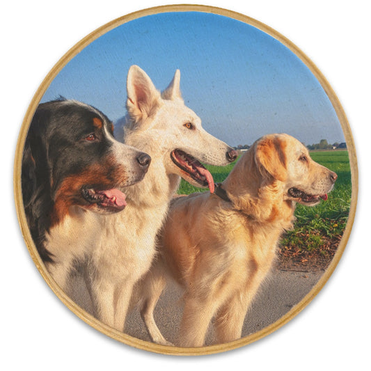 Quadro Pet 20 cm