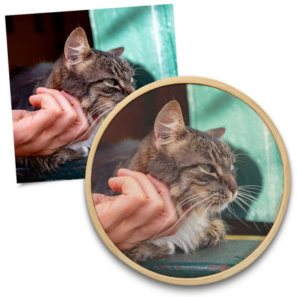 Quadro Pet 8 cm