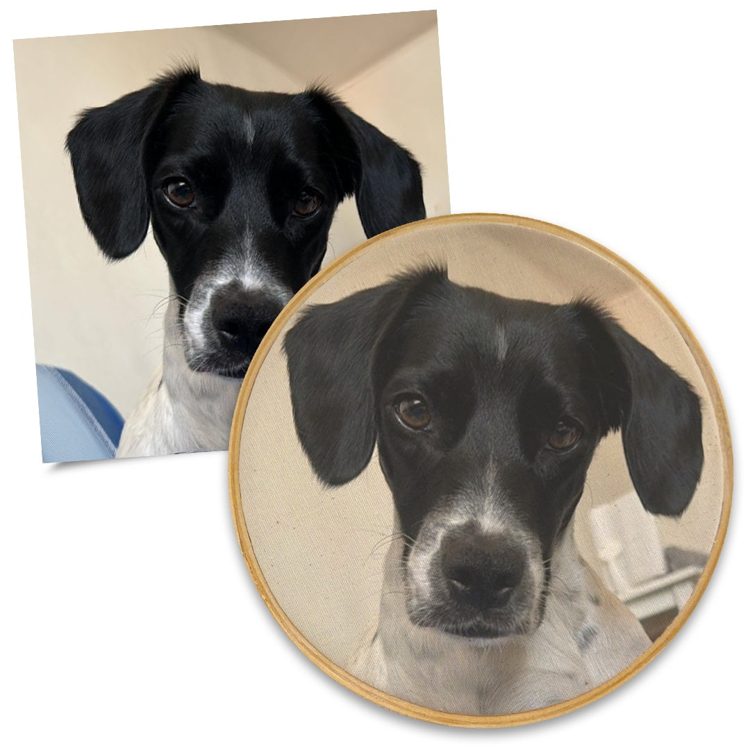 Quadro Pet 20 cm
