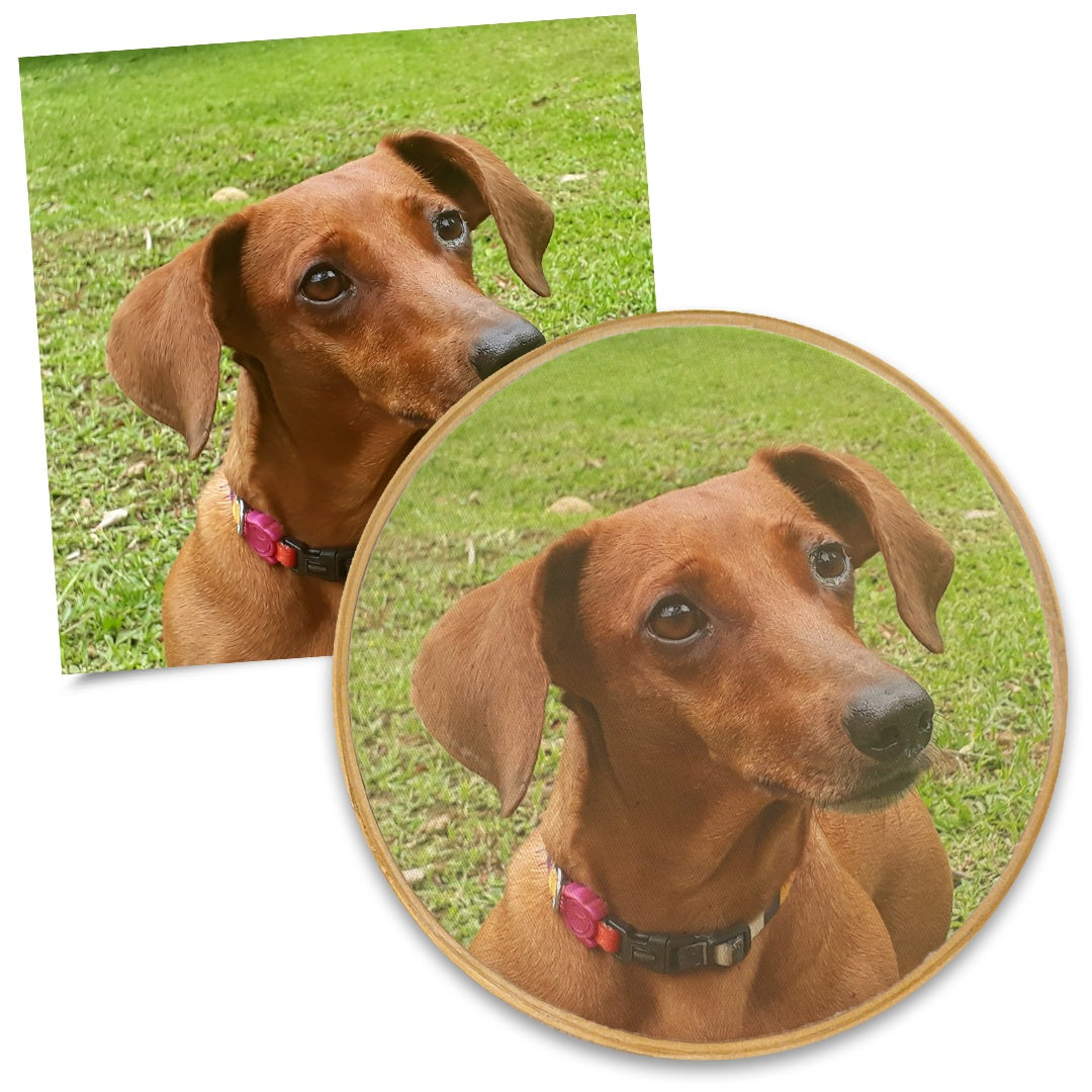 Quadro Pet 20 cm